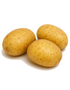 PATATA SPUNTA - 9 KG