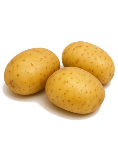 PATATA SPUNTA - 9 KG