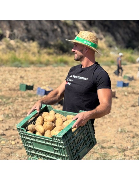 PATATA SPUNTA - 9 KG