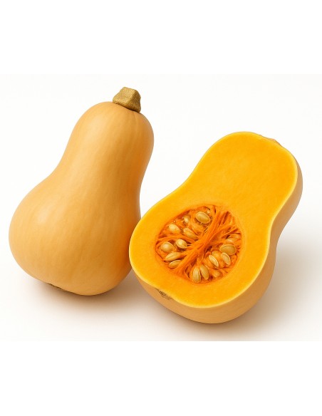 CALABAZA CACAHUETE - 10 KG