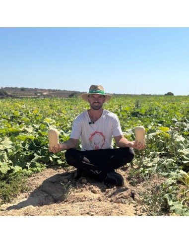 CALABAZA CACAHUETE - 9 KG