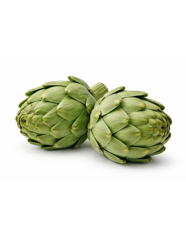 ALCACHOFA GREEN QUEEN