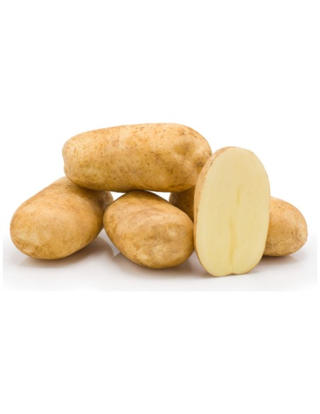 PATATA BELLINI - 10 KG