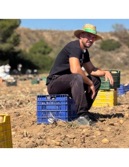 PATATA BELLINI - 10 KG
